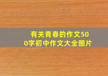 有关青春的作文500字初中作文大全图片