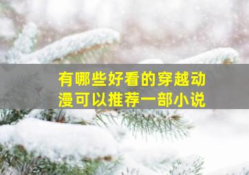 有哪些好看的穿越动漫可以推荐一部小说