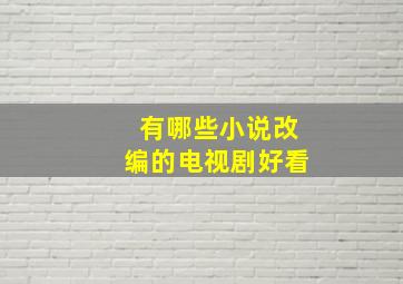 有哪些小说改编的电视剧好看