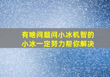 有啥问题问小冰机智的小冰一定努力帮你解决