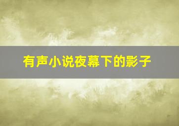 有声小说夜幕下的影子