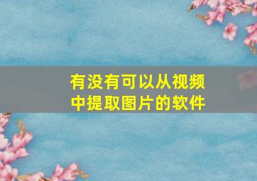 有没有可以从视频中提取图片的软件