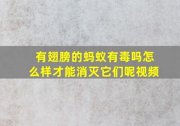 有翅膀的蚂蚁有毒吗怎么样才能消灭它们呢视频