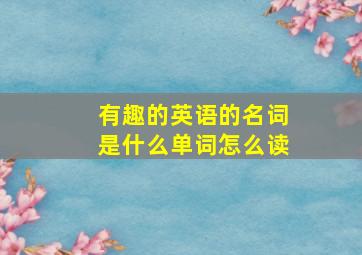 有趣的英语的名词是什么单词怎么读