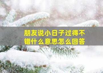 朋友说小日子过得不错什么意思怎么回答