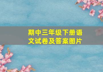 期中三年级下册语文试卷及答案图片