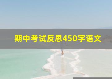 期中考试反思450字语文