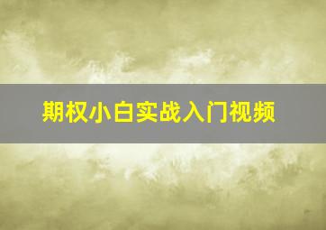 期权小白实战入门视频