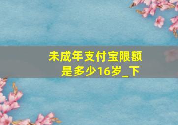 未成年支付宝限额是多少16岁_下