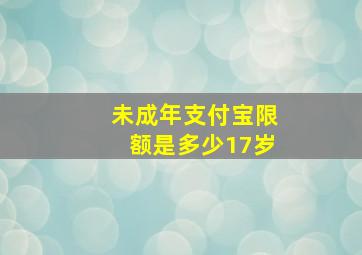 未成年支付宝限额是多少17岁