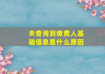 未查询到缴费人基础信息是什么原因