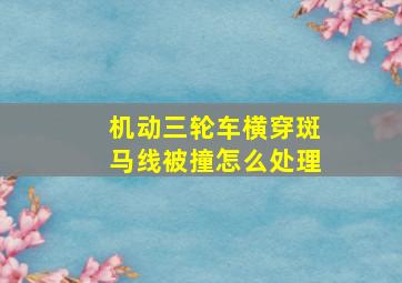 机动三轮车横穿斑马线被撞怎么处理