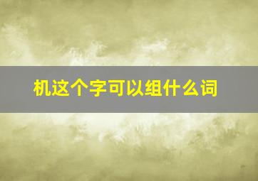 机这个字可以组什么词