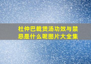 杜仲巴戟煲汤功效与禁忌是什么呢图片大全集