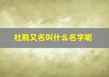 杜鹃又名叫什么名字呢