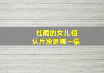 杜鹃的女儿相认片段是哪一集