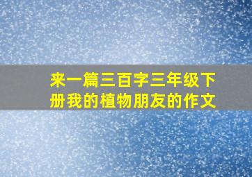 来一篇三百字三年级下册我的植物朋友的作文