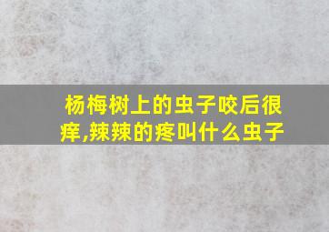 杨梅树上的虫子咬后很痒,辣辣的疼叫什么虫子