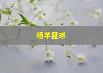 杨芊篮球