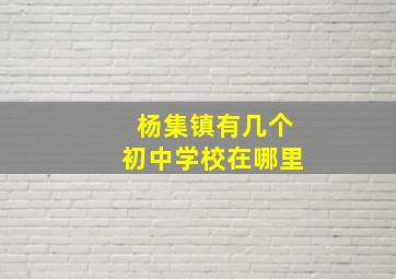 杨集镇有几个初中学校在哪里