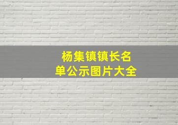 杨集镇镇长名单公示图片大全