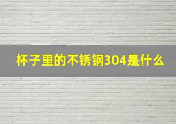 杯子里的不锈钢304是什么