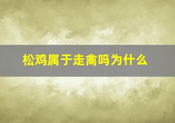 松鸡属于走禽吗为什么