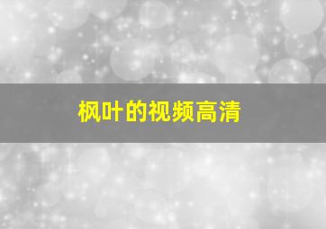 枫叶的视频高清