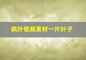 枫叶视频素材一片叶子