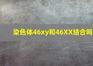 染色体46xy和46XX结合吗