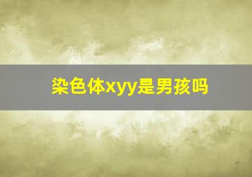 染色体xyy是男孩吗