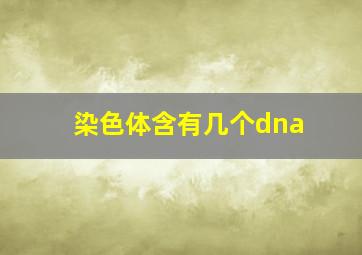 染色体含有几个dna