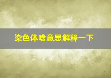 染色体啥意思解释一下