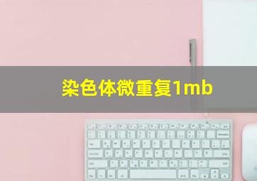 染色体微重复1mb