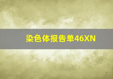 染色体报告单46XN