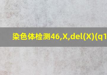 染色体检测46,X,del(X)(q13)