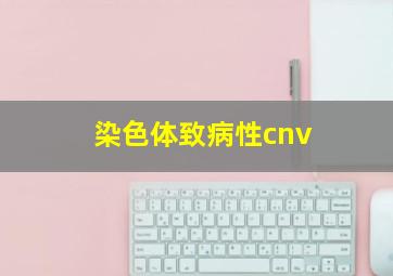 染色体致病性cnv