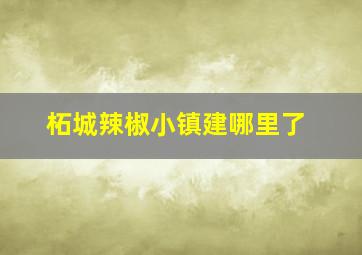 柘城辣椒小镇建哪里了