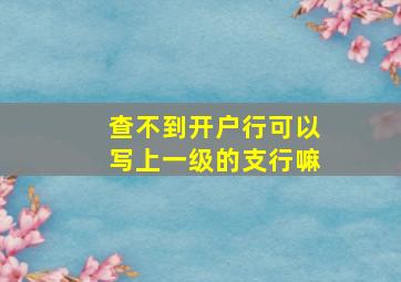 查不到开户行可以写上一级的支行嘛