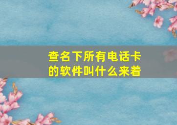 查名下所有电话卡的软件叫什么来着