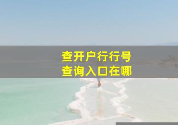 查开户行行号查询入口在哪