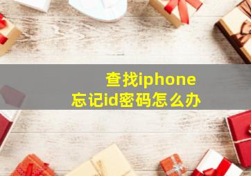 查找iphone忘记id密码怎么办