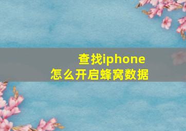 查找iphone怎么开启蜂窝数据