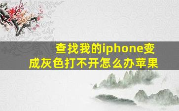 查找我的iphone变成灰色打不开怎么办苹果