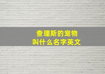 查理斯的宠物叫什么名字英文