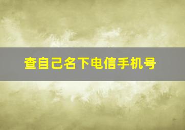 查自己名下电信手机号