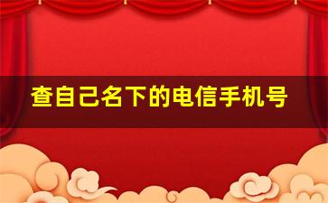 查自己名下的电信手机号