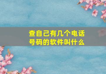 查自己有几个电话号码的软件叫什么