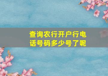 查询农行开户行电话号码多少号了呢