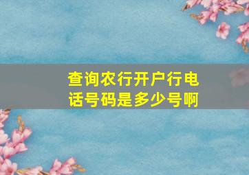 查询农行开户行电话号码是多少号啊